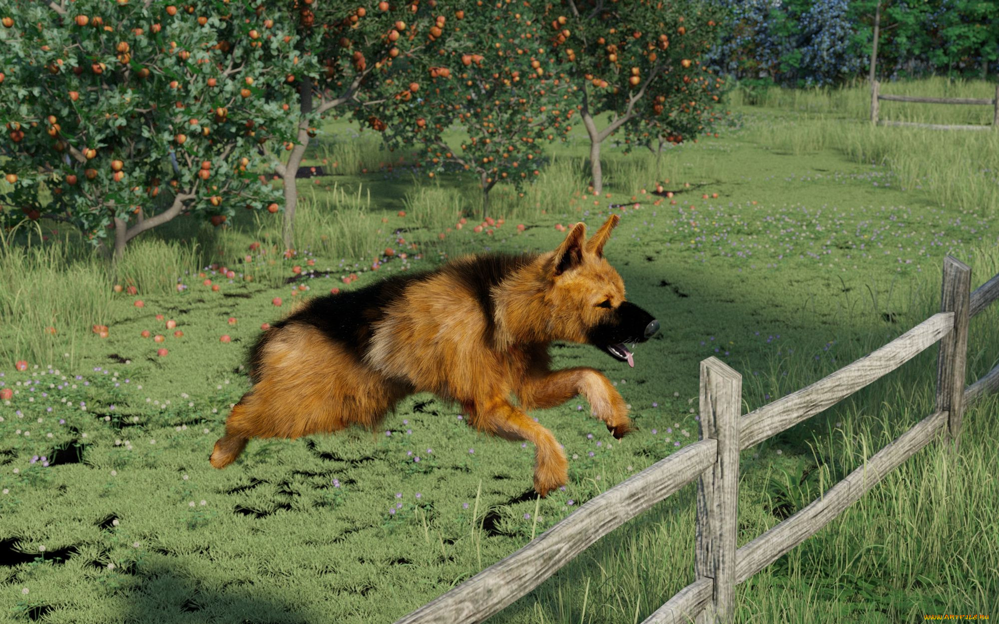 3 ,  , animals, , , 